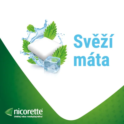 Nicorette Icemint Gum 2 mg léčivá žvýkací guma 30 žvýkaček