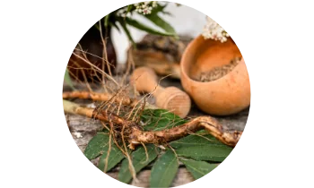 ashwagandha ashwagandha