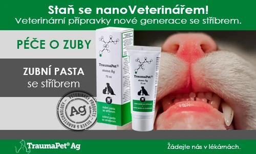 Staň se nanoveterinářem. Veterinární přípravky nové generace se stříbrem. Péče o zuby. Zubní pasta se stříbrem.