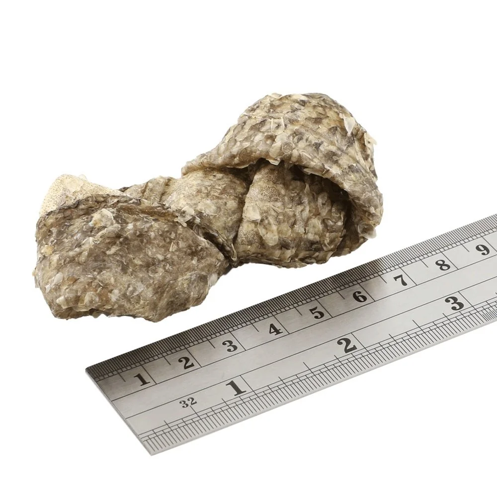 Fish4Dogs Pamlsky pro psy DENTAL SEA mořská ryba - uzlíky 100 g