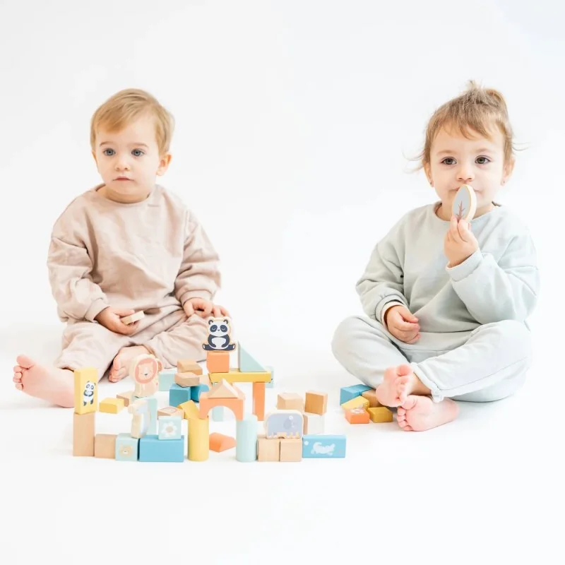 Saro Baby dřevěné kostky v kyblíku 60ks 24m+
