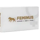 FEMINUS