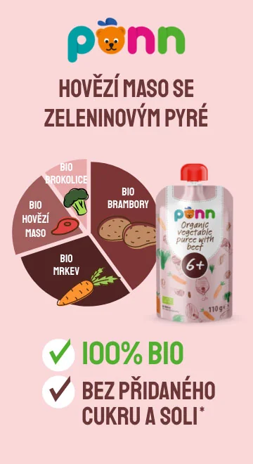 hovězí maso se zeleninovým pyré