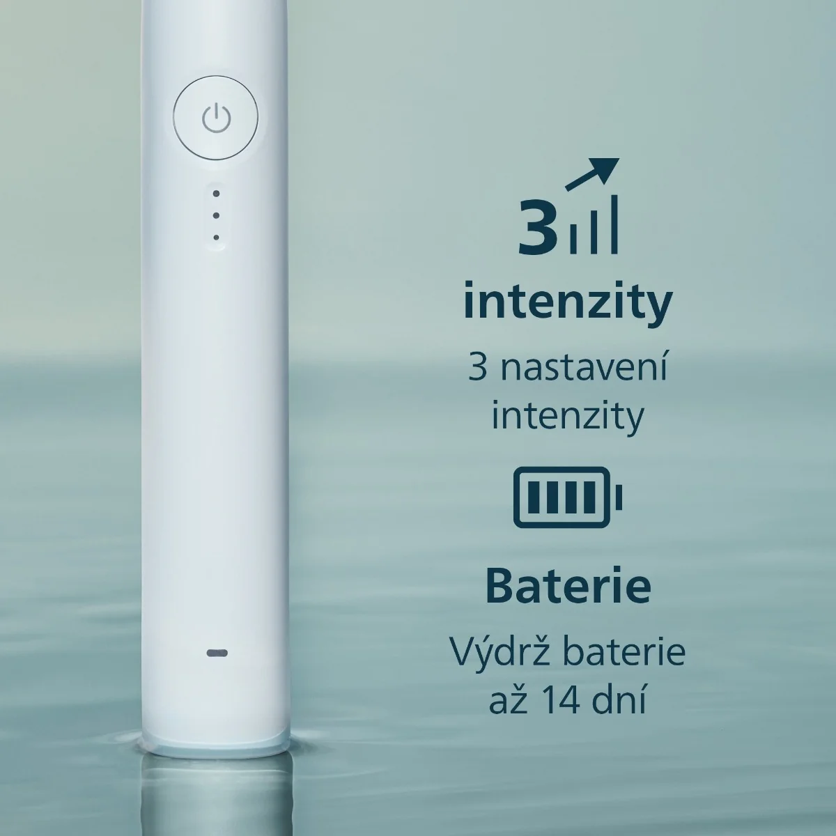 Philips Sonicare 3100 HX4072/73 sonické zubní kartáčky 2 ks černý a bílý