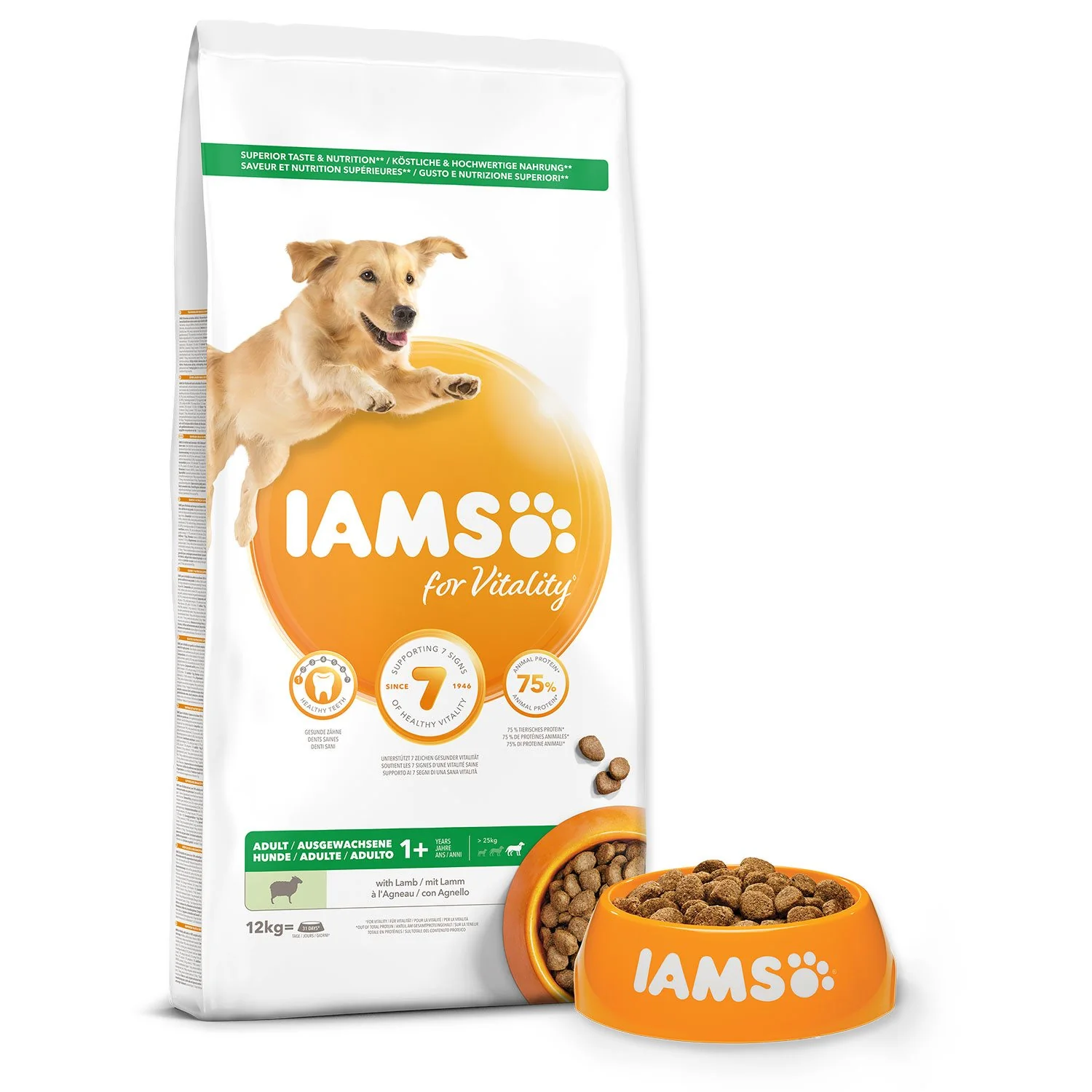 IAMS Krmivo Dog Adult Large Lamb 12kg