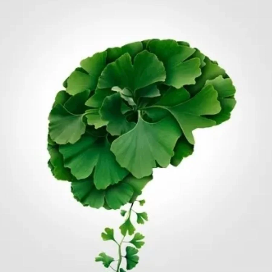 Kenay Ginkgo biloba Ginkgoselect Phytosome 60 kapslí