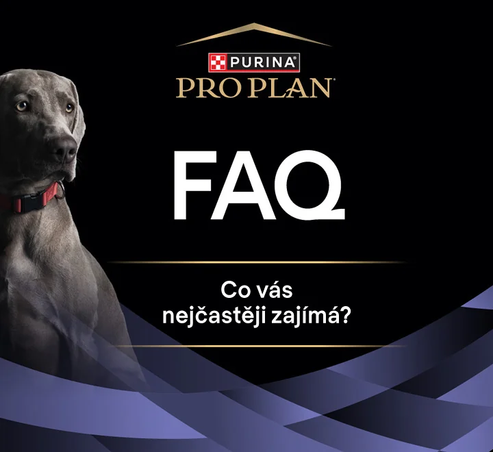 FAQ. Co vás nejčastěji zajímá?