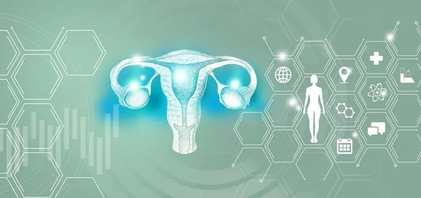 Estrogeny – funkce, druhy a nízká hladina 