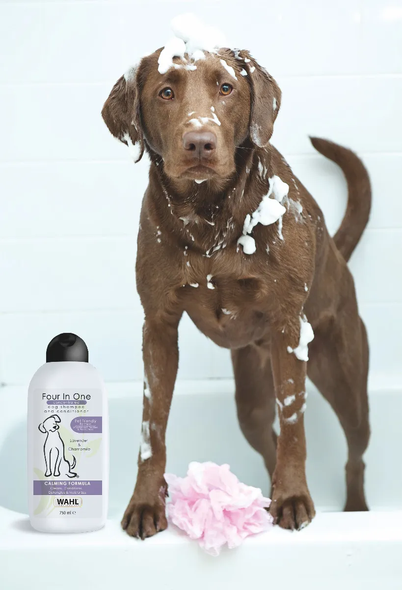 WAHL 3999-7010 Šampon pro psy 4-v-1 750 ml