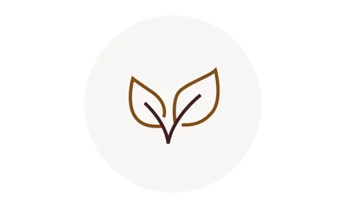 Vlastní vývoj produktů Vlastní vývoj produktů