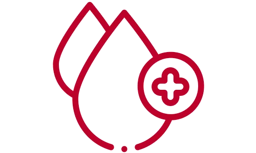 tvorbě červených krvinek a hemoglobinu tvorbě červených krvinek a hemoglobinu