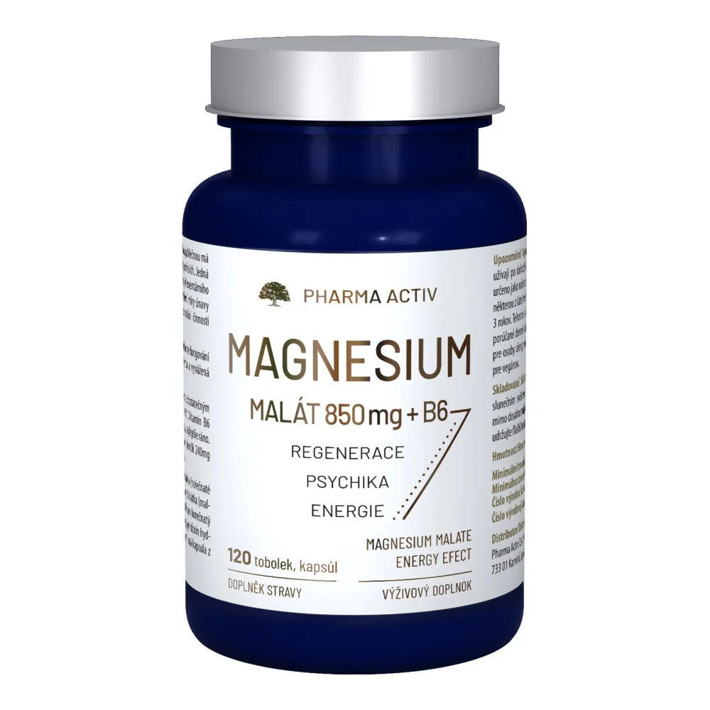 Pharma Activ Magnesium MALÁT 850 mg + B6 120 tobolek