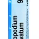 Boiron LYCOPODIUM CLAVATUM CH9 granule 4 g
