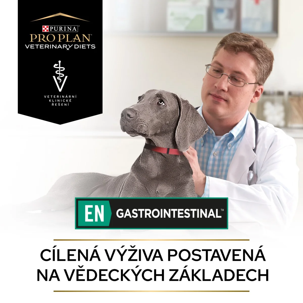Purina Pro Plan Veterinární diety EN Gastrointestinal konzerva pro psy 400 g