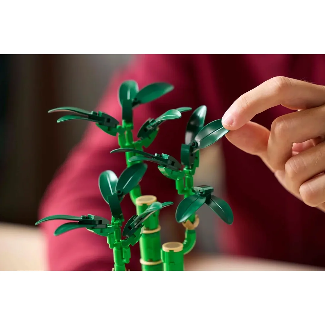 LEGO® Botanicals 10344 Bambus štěstí