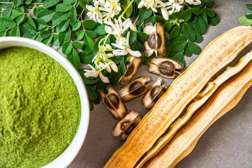 Moringa olejodárná – superpotravina, která stojí za vyzkoušení