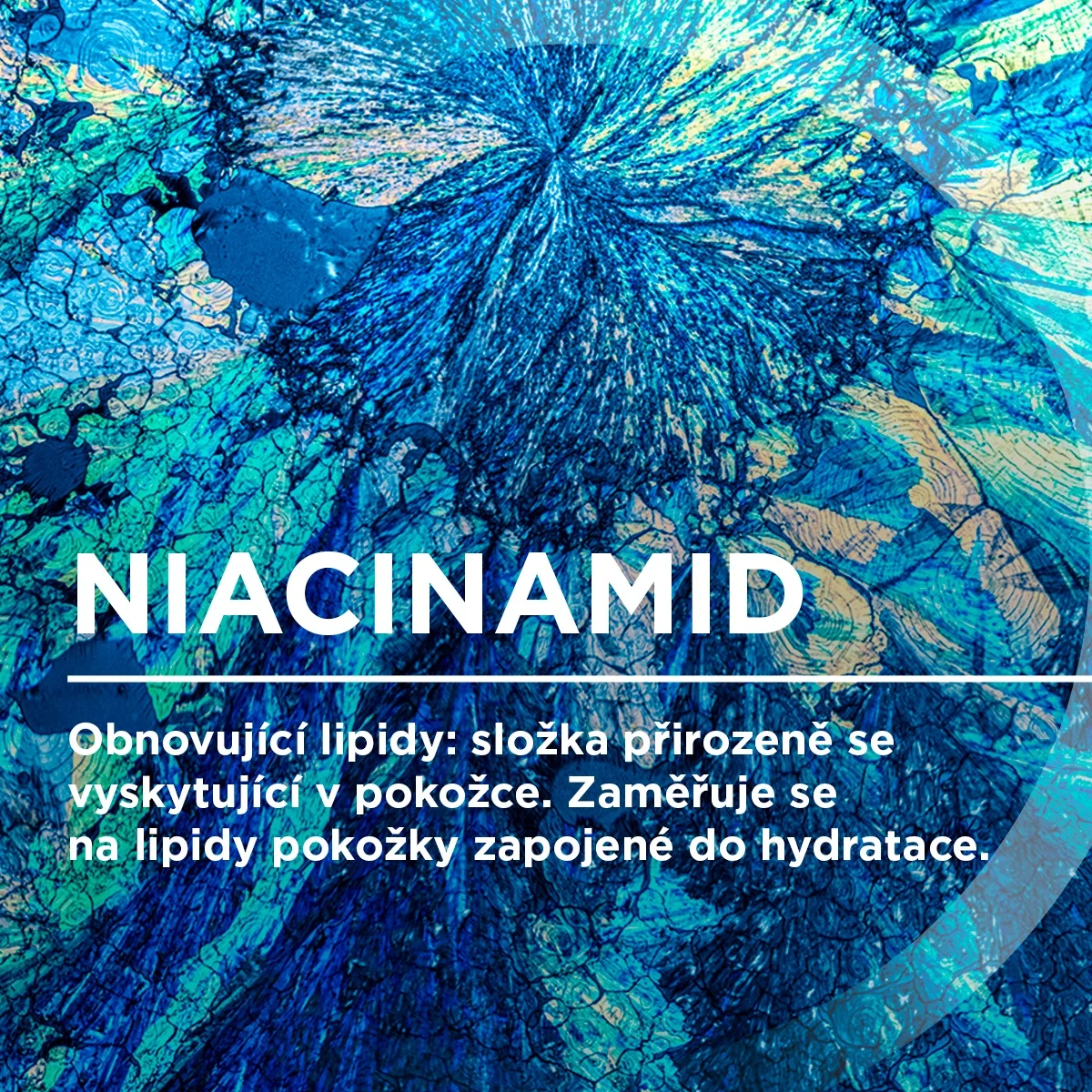 BIODERMA Atoderm sprchový olej 200 ml