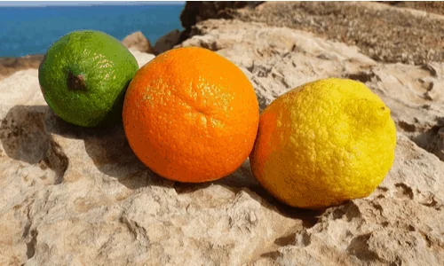 Citrusové vůně