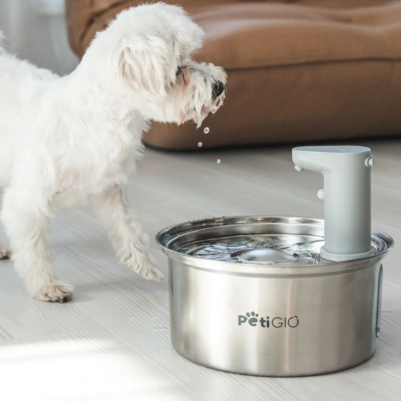 PetiGIO peti-to-Eat automatická fontána pro domácí mazlíčky nerez