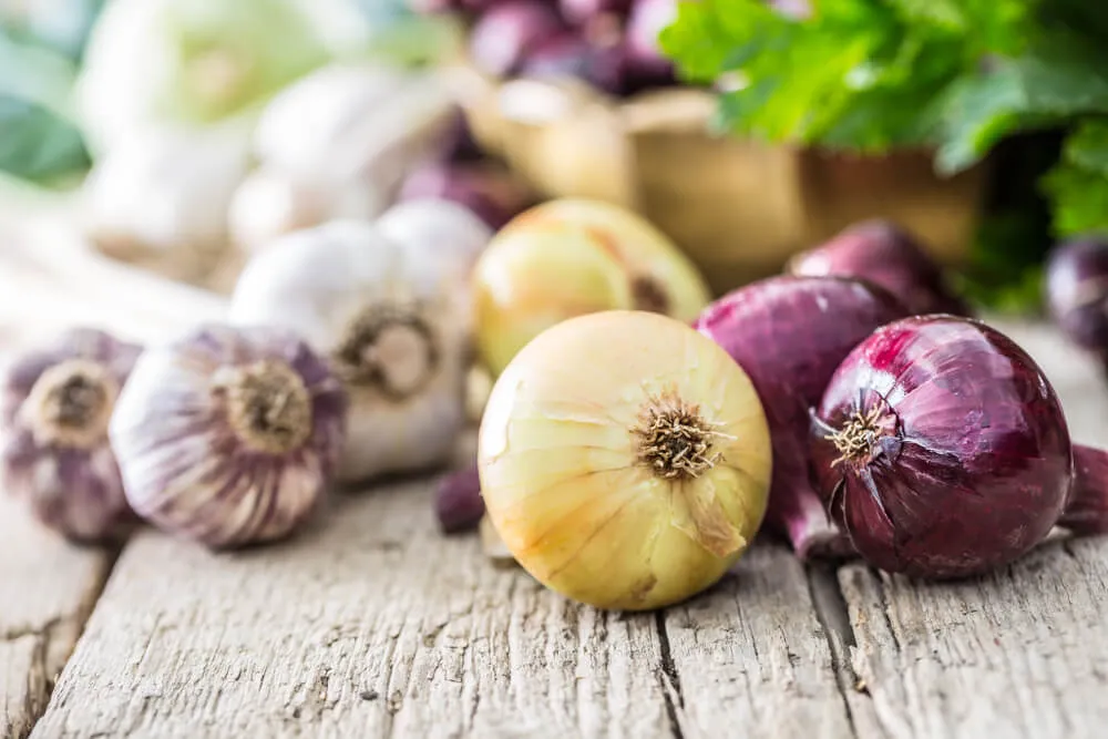 Kořenová zelenina, zejména cibule nebo česnek, obsahuje zdraví prospěšná prebiotika, která ve střevě napomáhají růstu prospěšných bakterií.