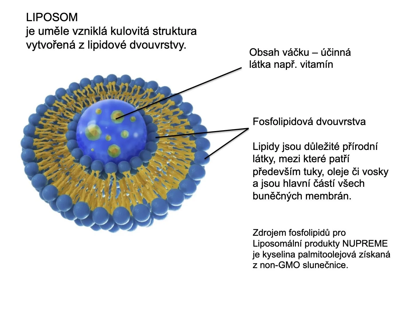 Nupreme Liposomal Vit. B12 30 kapslí