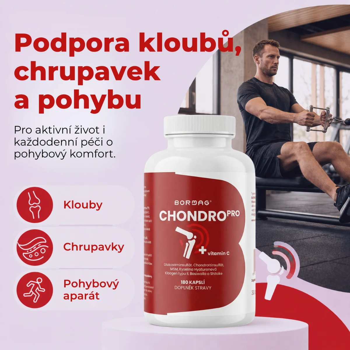 BORMAG ChondroPro komplex se shiitake a boswellií 180 kapslí