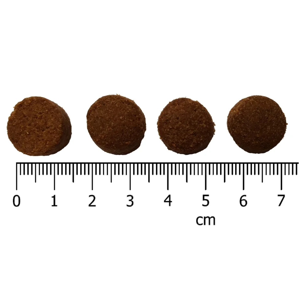 IRONpet Dog Adult Medium Turkey (Krocan) 12 kg