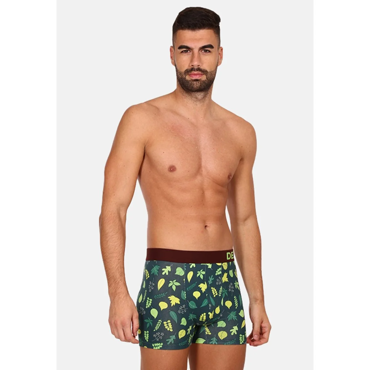 Dedoles Veselé pánské boxerky Lesní chata (D-M-UN-T-C-C-1375) M