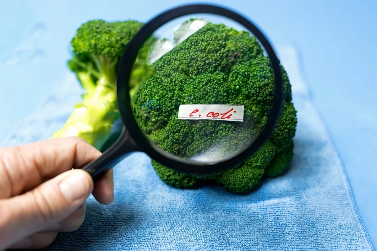 Escherichia coli – příznaky, rizika a léčba