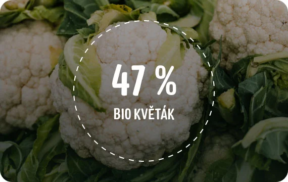 Good Gout BIO Treska pestrá s květákem a brambůrky 8m+ 2x190 g Good Gout BIO Treska pestrá s květákem a brambůrky 8m+ 2x190 g
