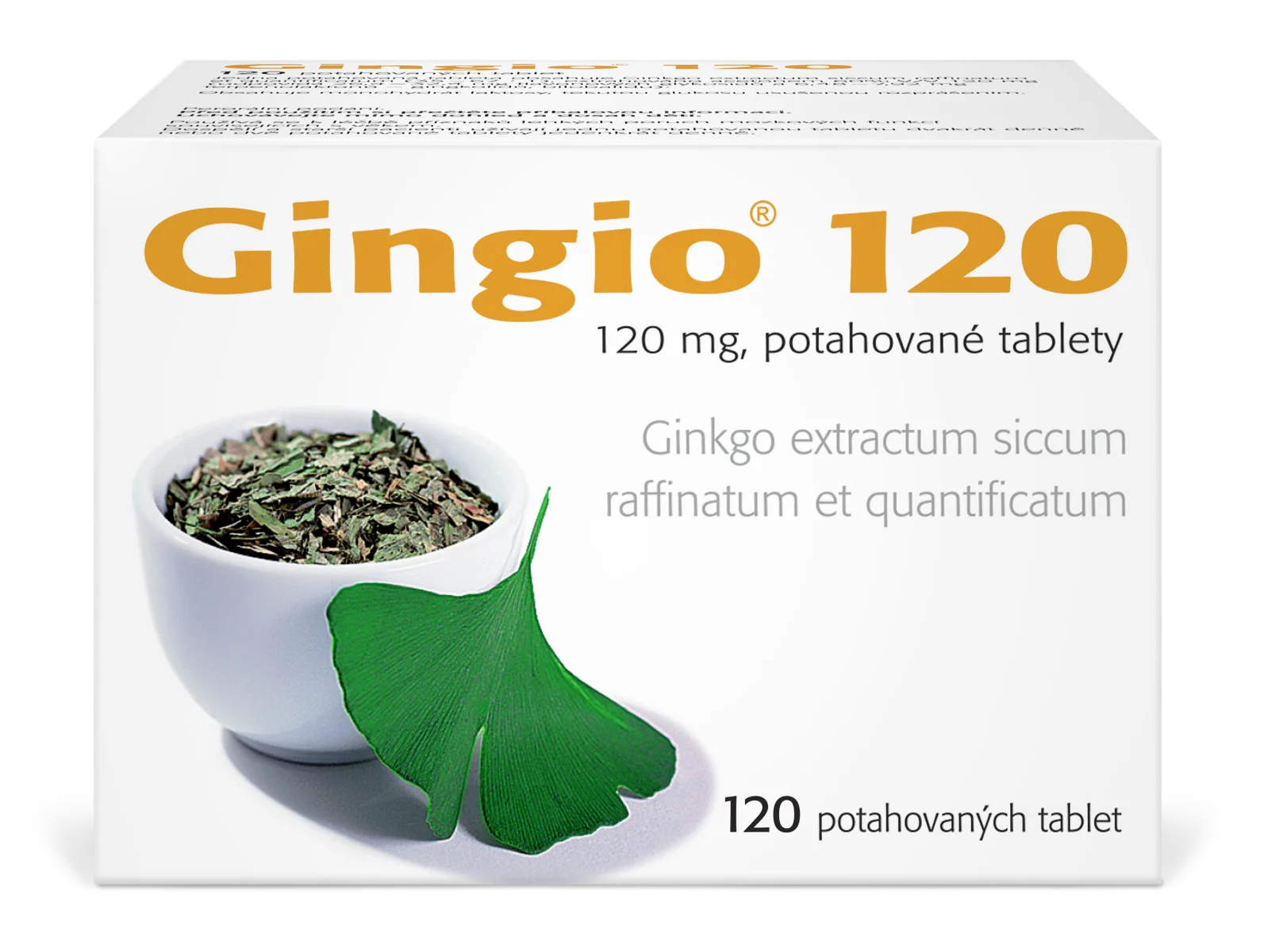 Gingio 120 mg 120 tablet