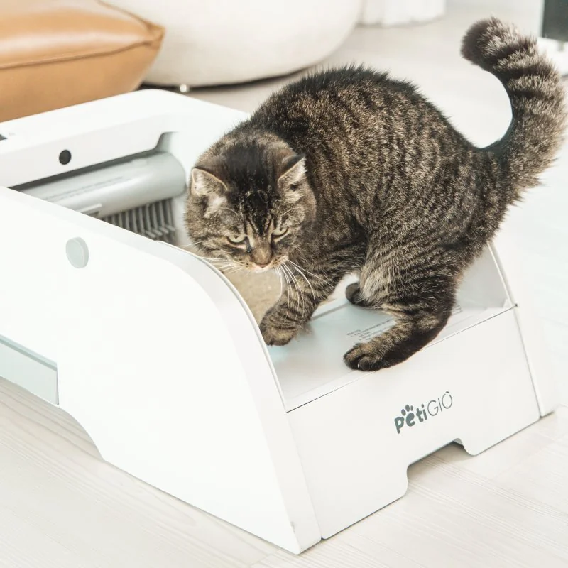 PetiGIO peti-to-Care Smart samočistící toaleta pro kočky