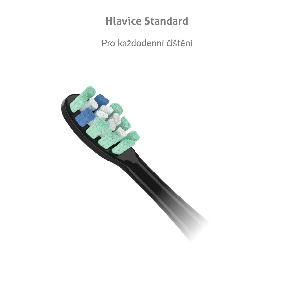 Truelife SonicBrush CleanSeries Standard náhradní hlavice 2 ks černé