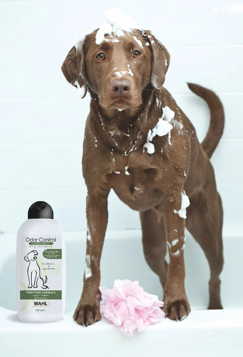 WAHL 3999-7020 Šampon pro psy Odor 750 ml