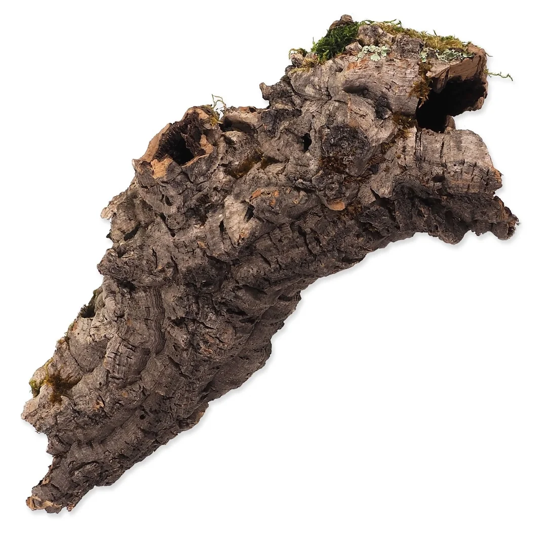 Repti Planet Dekorace Korková kůra M 15-30cm