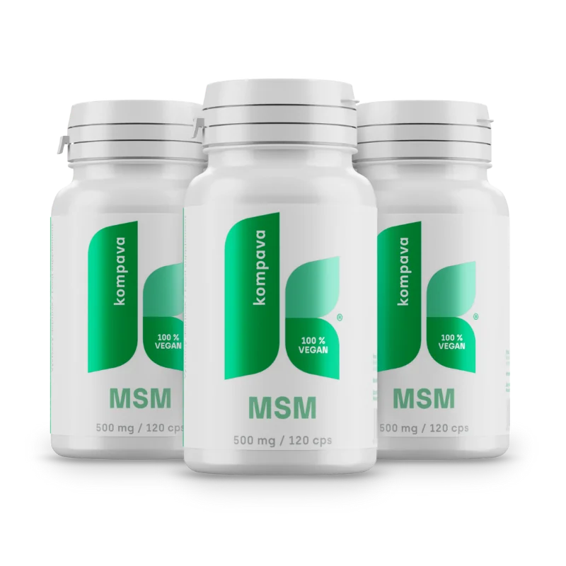 KOMPAVA MSM 500 mg/120 kapslí