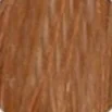 Radico Přírodní barva na vlasy BIO světlá popelavá blond 100 g