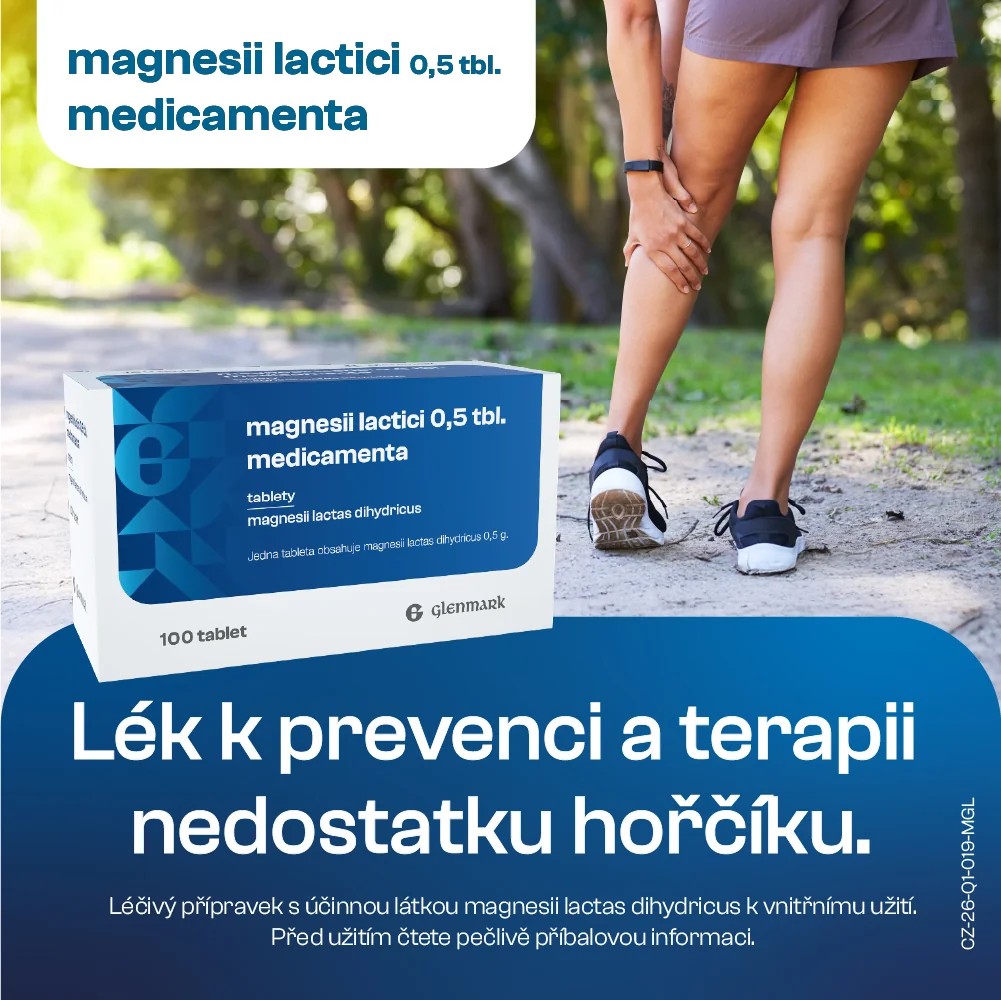 Medicamenta Magnesii lactici 0,5 tbl. 100 tablet