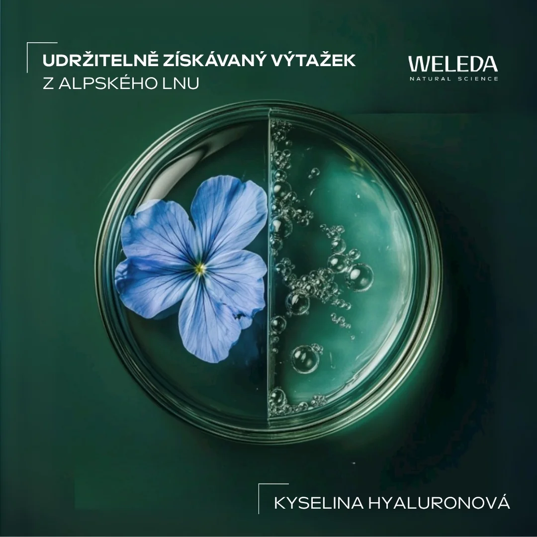 Weleda Vlasový olej Hydra Shine 30 ml