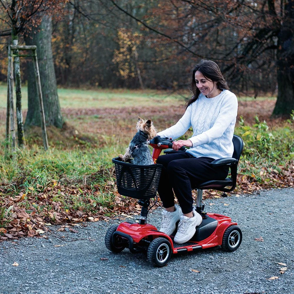 insportline Elektrický čtyřkolový vozík Omis (W3431)
