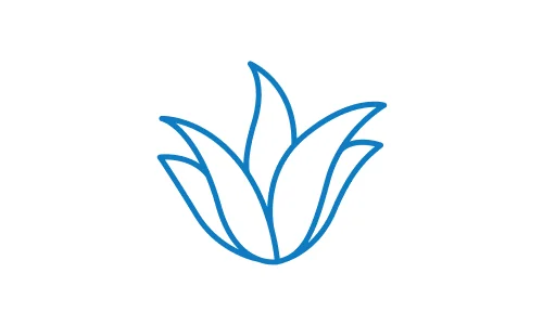 Extrakt z aloe vera
