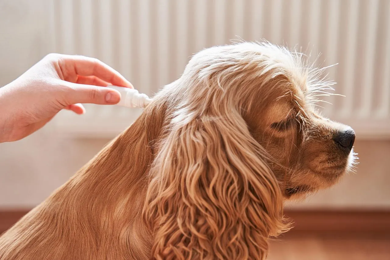 Kapky v pipetě pro psy mají antiparazitální a často i repelentní účinek.