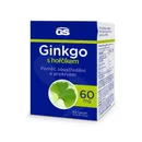 GS Ginkgo 60 mg s hořčíkem