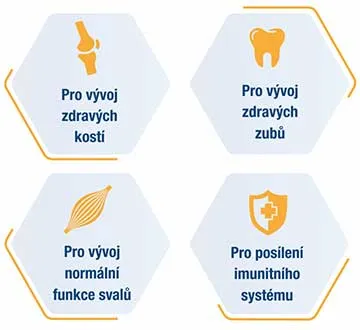 Vitamín D obsažený v kapkách Linex® Baby+ je důležitý pro vývoj zdravých kostí, pro vývoj zdravých zubů, pro vývoj normální funkce svalů a pro posílení podporu imunitního systému