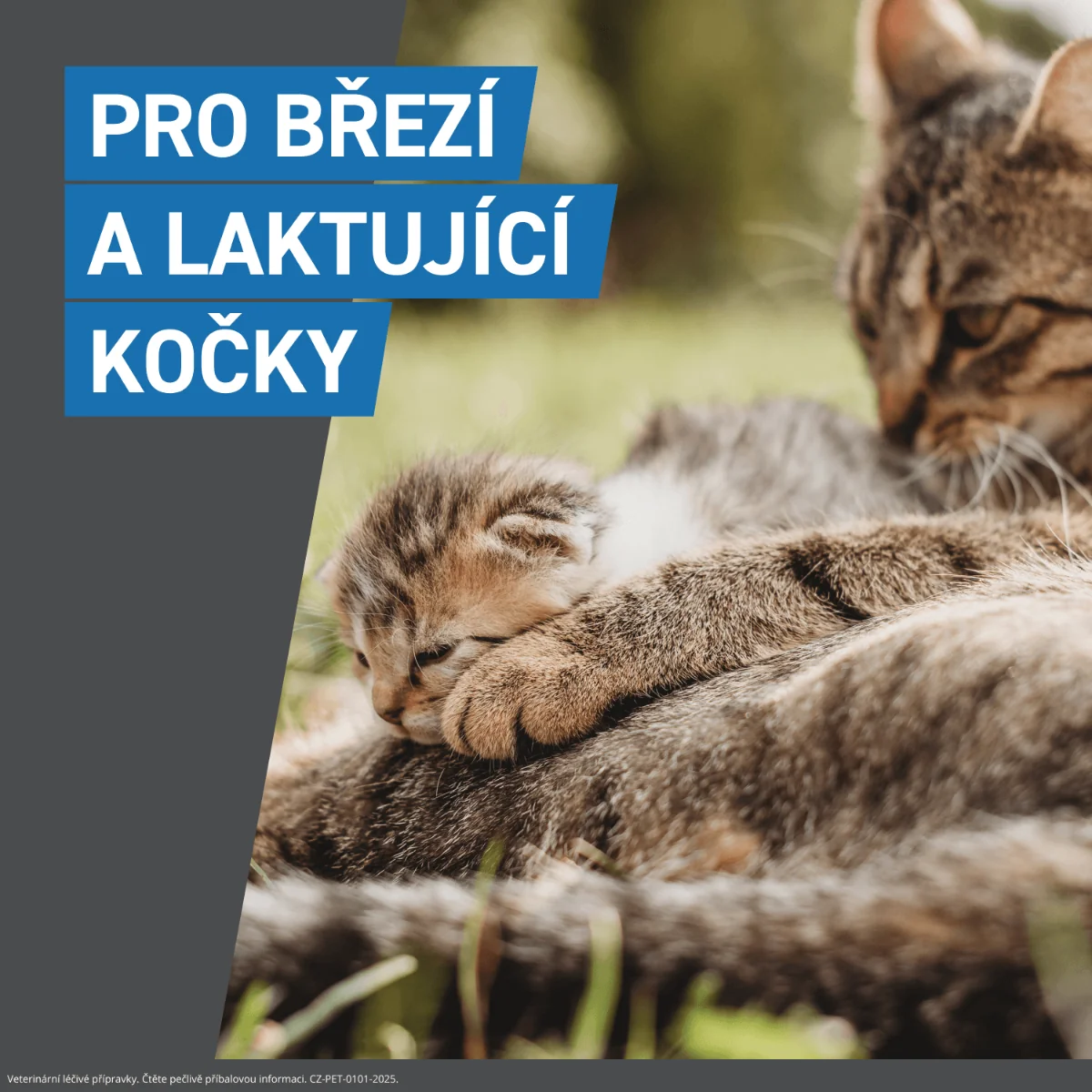 FRONTLINE SPOT-ON pro kočky 3 pipety
