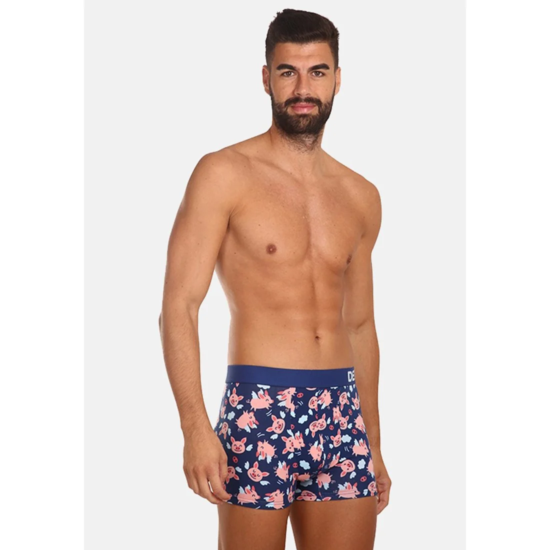 Dedoles Veselé pánské boxerky Létající prasátka (GMMT093) M