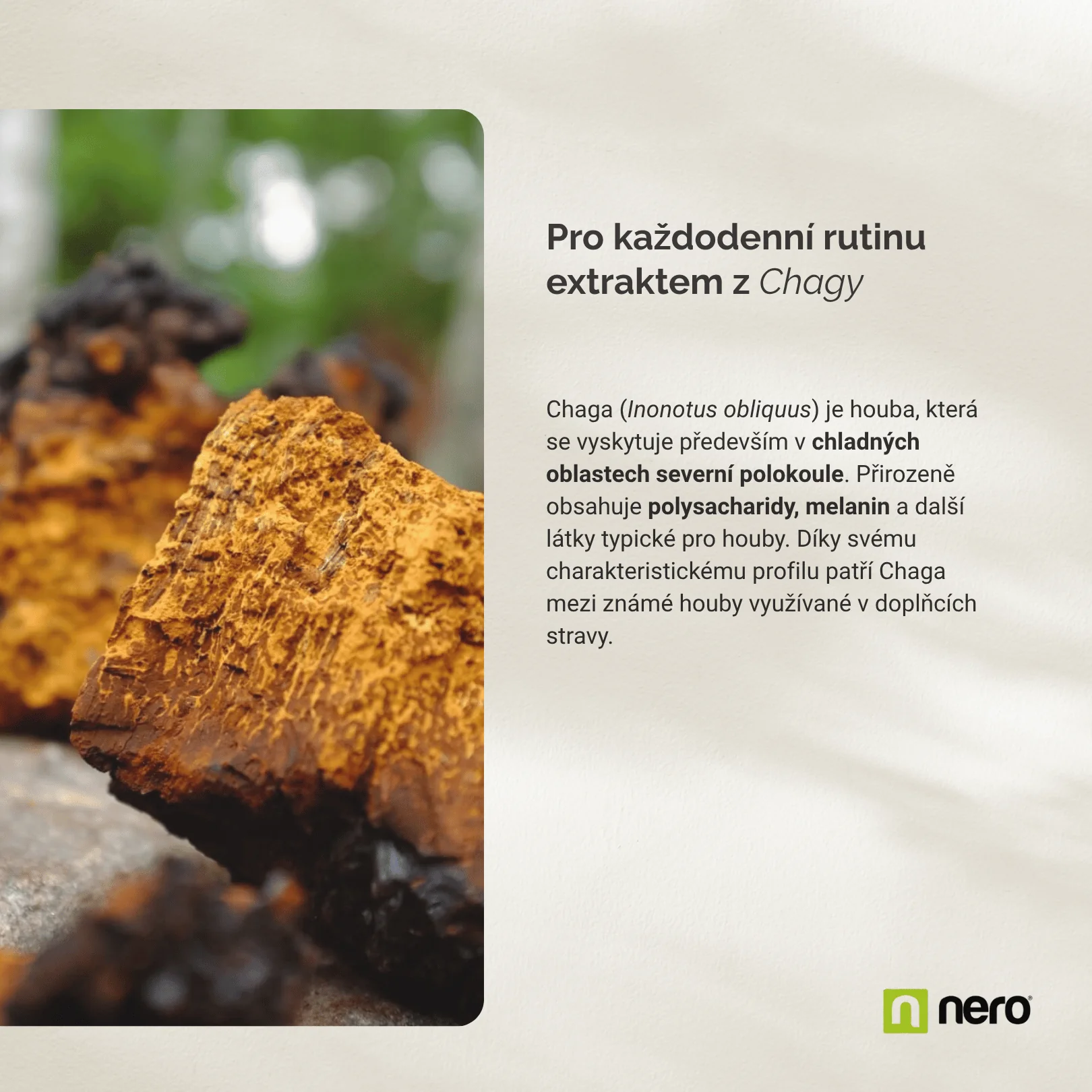 NERO Chaga 500 mg 120 kapslí