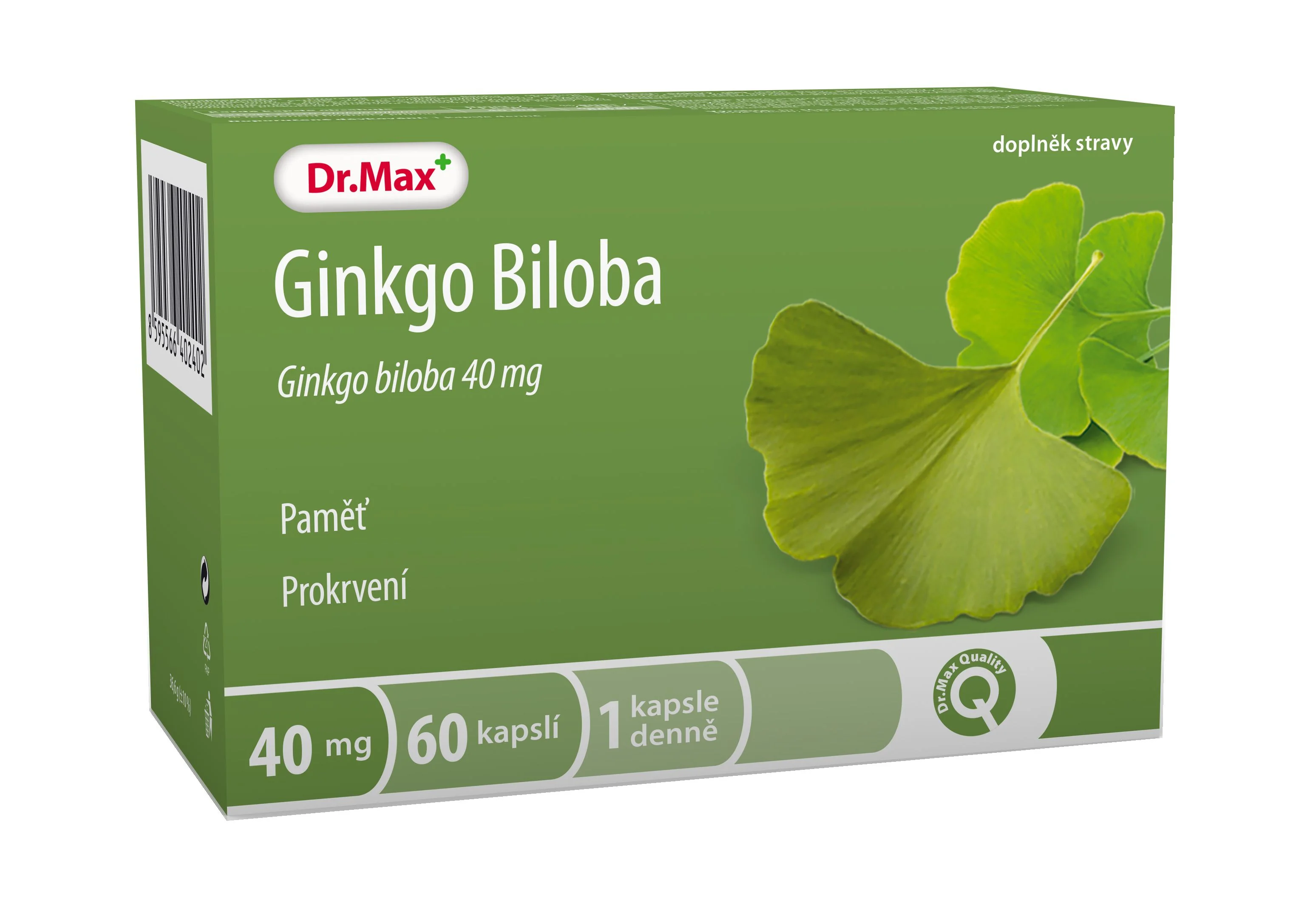 Dr. Max Ginkgo Biloba 40 mg 60 tobolek