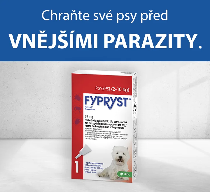Chraňte své psy před vnějšími parazity.