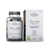 Hifas da Terra Mico-Sol BIO